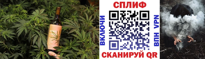 Canna-Cookies марихуана  мега ссылки  Новомосковск 