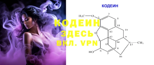 ГАЛЛЮЦИНОГЕННЫЕ ГРИБЫ Богданович