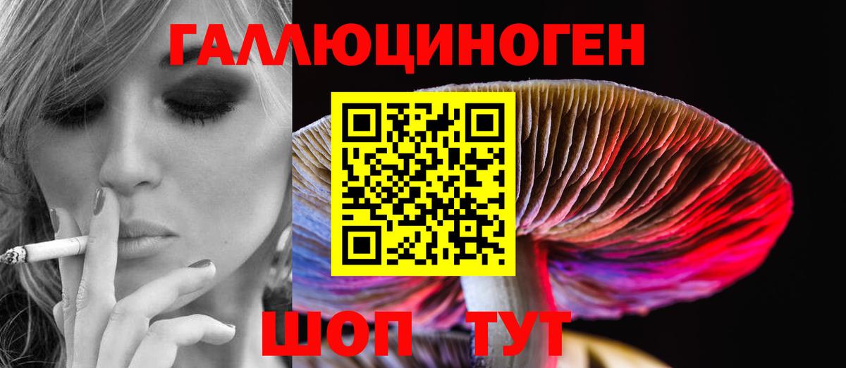 Псилоцибиновые грибы Magic Shrooms  Вход с VPN  Новомосковск  Псилоцибиновые грибы прущие грибы 