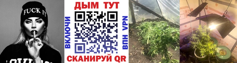 Конопля планчик  МЕГА ССЫЛКА  Новомосковск 